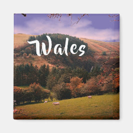 Pennant Valley Pasta in Wales Magnet