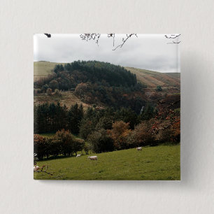 Pennant Valley Wales Button
