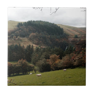 Pennant Valley Wales Fliese