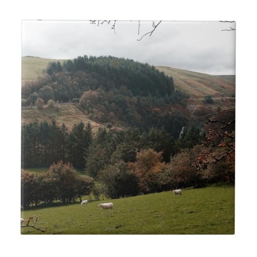 Pennant Valley Wales Fliese (Vorderseite)