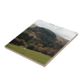 Pennant Valley Wales Fliese (Seite)