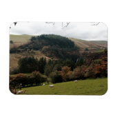 Pennant Valley Wales Magnet (Horizontal)