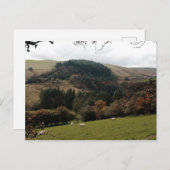 Pennant Valley Wales Postkarte (Vorne/Hinten)