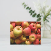 Pennsylvania Apples Postcard Postkarte (Stehend Vorderseite)