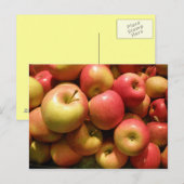 Pennsylvania Apples Postcard Postkarte (Vorne/Hinten)