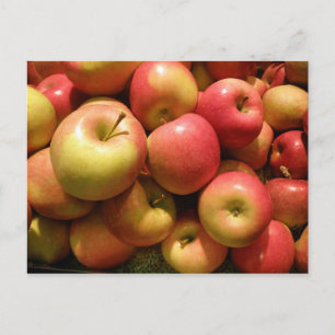 Pennsylvania Apples Postcard Postkarte