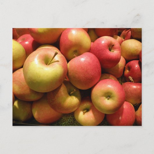 Pennsylvania Apples Postcard Postkarte (Vorderseite)