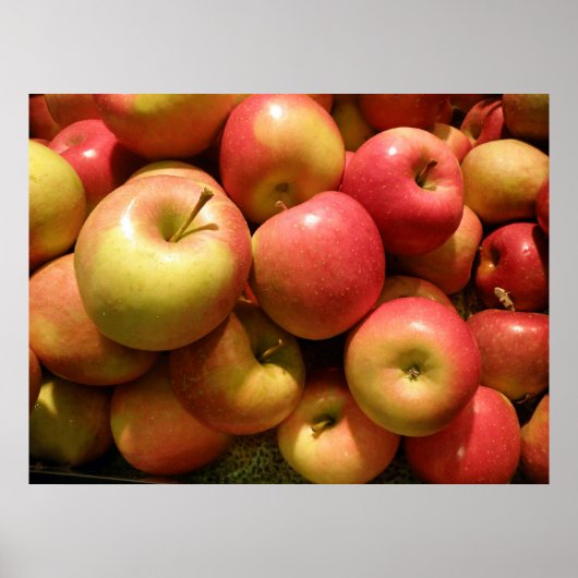 Pennsylvania Apples Poster, 30,67" X 23" Poster (Vorne)