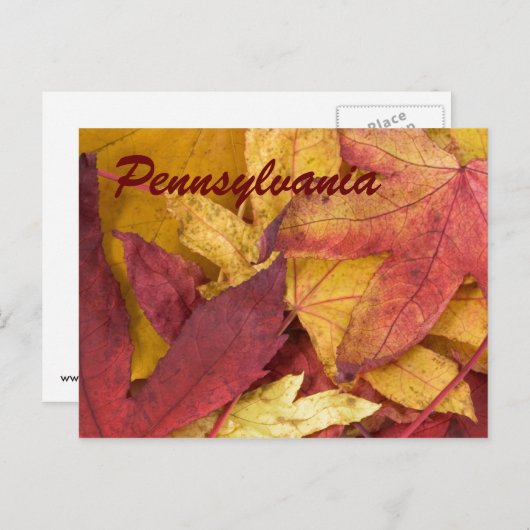 Pennsylvania Autumn Leaves Postcard Postkarte