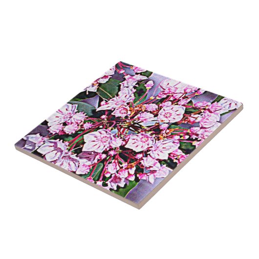 Pennsylvania-Berglorbeer Fliese (Seite)