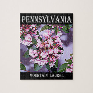 Pennsylvania-Berglorbeer Puzzle