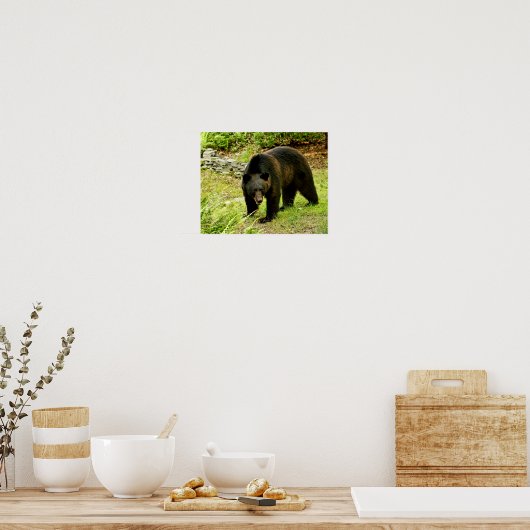 Pennsylvania Black Bear Poster (Küche)