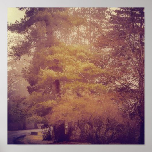 Pennsylvania Country Road Poster (Vorne)