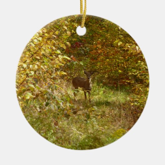 Pennsylvania Deer in Fall Nature Keramik Ornament (Vorne)