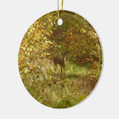 Pennsylvania Deer in Fall Nature Keramik Ornament (Links)