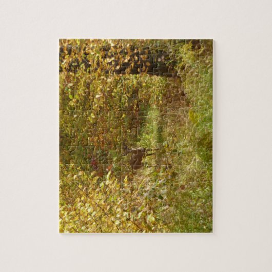 Pennsylvania Deer in Fall Nature Puzzle (Vertikal)