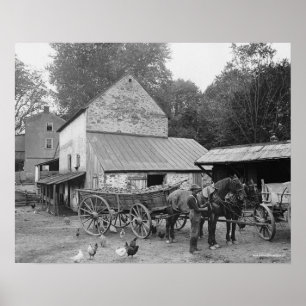 Pennsylvania-Farm, 1906. Altes Foto Poster