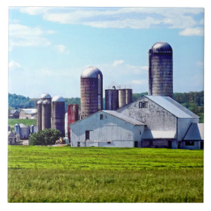 Pennsylvania-Farm mit Silos Fliese