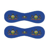 Pennsylvania Flag, sport BL / Baseball Balls (Paneele)