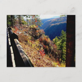 Pennsylvania Grand Canyon - Leonard Harris St Park Postkarte