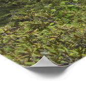 Pennsylvania Landschaft Poster (Ecke)