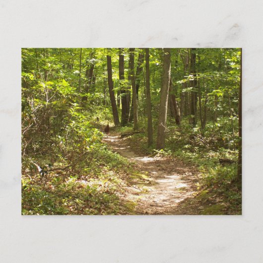 Pennsylvania-Puten Postkarte (Vorderseite)