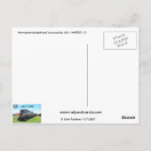 Pennsylvania Railroad Locomotive GG-1 #4800 -2- Postkarte (Rückseite)