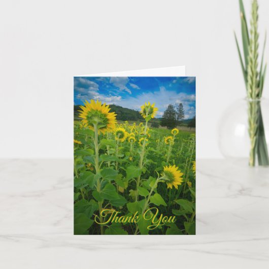 "Pennsylvania-Sonnenblumenfeld" Karte (Vorderseite)
