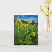 "Pennsylvania-Sonnenblumenfeld" Karte (Gelbe Blume)