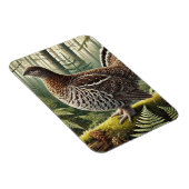 Pennsylvania Staat Bird Ruffed Grouse Magnet (Rechte Seite)