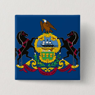 Pennsylvania-Staats-Flagge Button