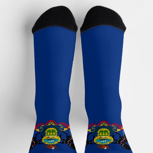 Pennsylvania State flag Socken (Oben)