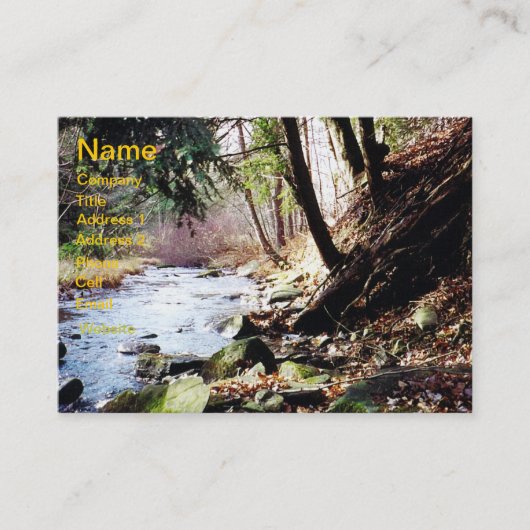 Pennsylvania Stream 02 Business Card Visitenkarte (Vorderseite)