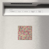Pennsylvania und Virginia Magnet (In Situ (Geschirrspüler))
