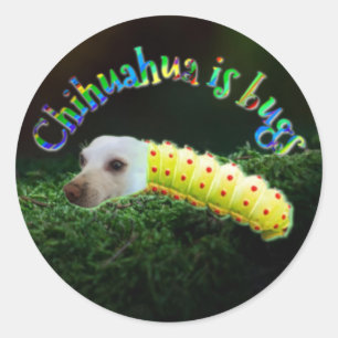 Penny-Bug-Aufkleber Runder Aufkleber