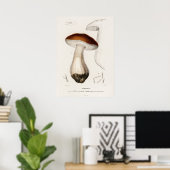 Penny bun (Boletus edulis) Poster (Heimbüro)