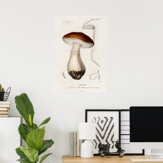 Penny bun (Boletus edulis) Poster (Heimbüro)