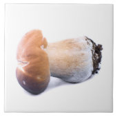 Penny bun fliese (Vorderseite)