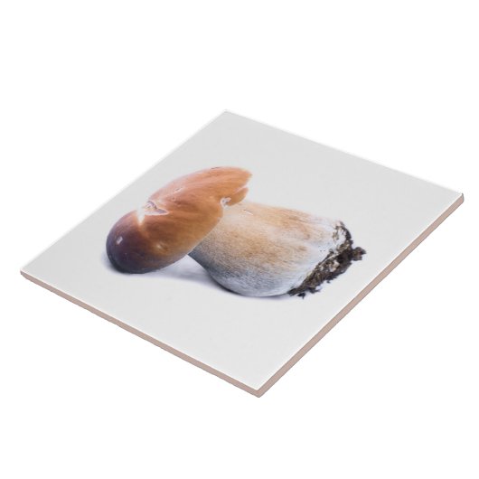 Penny bun fliese (Seite)