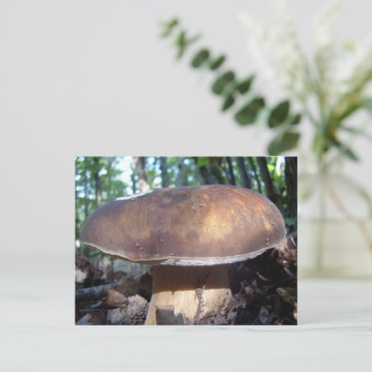 Penny Bun Mushroom Postcard Postkarte (Stehend Vorderseite)