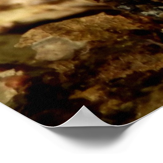 Penny Bun Mushroom Poster (Ecke)