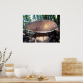 Penny Bun Mushroom Poster (Küche)