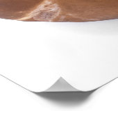 Penny bun poster (Ecke)