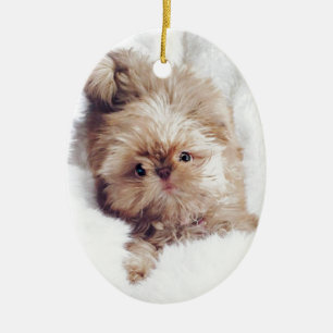 Penny die orange Leber Shih Tzu auf Wolke 9 Keramik Ornament
