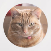 Penny Etiketten (Design 2)