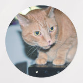 Penny Etiketten (Design 1)