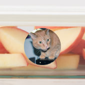 Penny Etiketten (Befestigt)