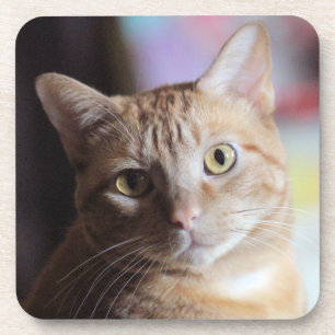 Penny Getränkeuntersetzer