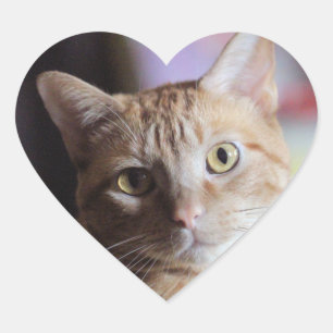 Penny Herz-Aufkleber