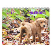 Penny-Kalender 2015 Kalender (Titelbild)